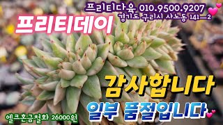 일부품절입니다! 감사합니다 💕프리티데이 💕 프리티다육 010.9500.9207 *유료광고포함*