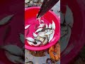 i caught a lot of fish today 今天收获好多鱼 rurallife outdoors fishfood fishtrip xiaomei