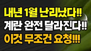 2022년 1월부터 난리났다!! 이제부터 긴급 신설 시행 계란 달걀 선별포장 유통제도 haccp 식약처 지원제도