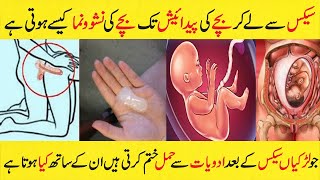 Aurat Ka Pait Ma Bacha Kaise Banta Hai | How Baby is Grow in Mother Stomach in Urdu/Hindi