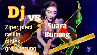 pertama Kombinasi Dj vs suara burung konin. lagu campur Suara burung.