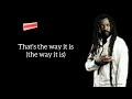 lucky dube the way it is lyrics