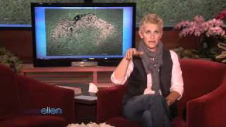 Ellen Gets the Details on the World's Largest Beaver Dam