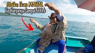 Dijamin Kalau Mancing Di Spot Ini Bakal Ngomset Ikan Enak || Mancing Dasaran Umpan Udang Hidup !!!