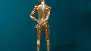 fsh010.avi