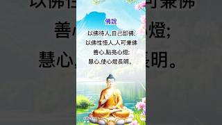 以佛待人,自己即佛;以佛性悟人,人可兼佛#人生感悟#情感 #禪語 #智慧#感情#福報#修行#修心#佛  #佛學#佛法#佛教 #佛心#佛系 #佛祖 #佛禪 #心霊  #佛號 #正能量#勵志