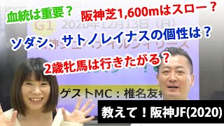 初心者でも阪神JF(2020)がわかる！血統は重要？阪神芝1,600mはスロー？2歳牝馬は行きたがる？3強ソダシ、サトノレイナス、メイケイエールそれぞれの個性【教えてマスターQ\u0026A】