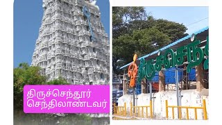 திருச்செந்தூர் முருகன் கோவில் 🙏 தரிசனம்