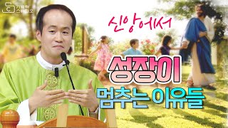 [신앙에서 성장이 멈추는 이유들] 연중 제11주일 미사 강론 2023.6.18 I 이병근 대건안드레아 신부(인천교구 원당동 성당 주임) I 천주교/강의 영상제작 가톨릭스튜디오