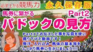 【競馬】パドックの見方　Ｐａｒｔ２  写真で説明、馬券に生かしましょう(^^)d