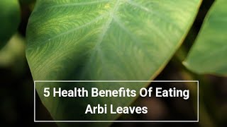 5 Health Benefits Of Eating Arbi Leaves