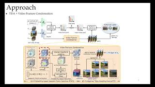 [CVPR 2026] Condensed Test-Time Adaptation of VLMs for Action Recognition