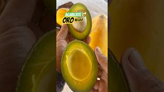 Oro Negro avocado 🥑