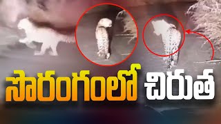 సొరంగంలో చిరుత | Leopard Spotted Near SLBC Works in Domala Penta, Nagar Kurnool | Aadhan