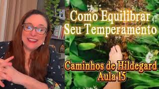 Como Equilibrar seu Temperamento