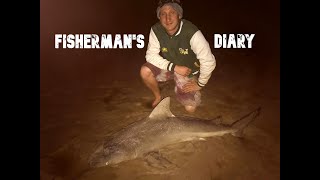 Stradbroke Island Bull Shark Fishing ~ Fisherman's Diary Ep 276