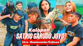 KALAPAN SATRIO GARUDO JOYO || LIVE SUMBERSUKO TAJINAN