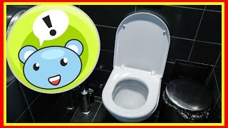 Как приучить хомяка к горшку💩туалету #хомяки