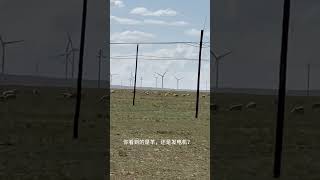 The Sheep and Wind Turbines on the Vast Grasslands 大草原上的羊群与风力发电机