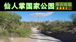 【仙人掌国家公园风景路】Saguaro National Park Scenic Drive｜两个园区的风景路一网打尽