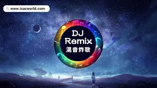 Yihuik苡慧 - 银河与星斗【慢摇Remix】