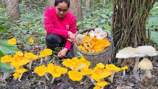 เก็บเห็ดมันปูใหญ่วันนี้สีเหลืองสดใสเห็ดปลวกตาบเห็ดรวมหลายชนิด!แวะหาหน่อโจดวันนี้จนได้ใส่ถุง26ส.ค2567