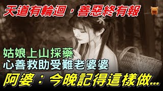 姑娘上山採藥，心善救助受難阿婆，阿婆：今晚記得這樣做...【鄉村民間故事│楓牛愛世界】