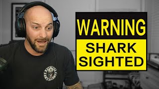 SHARKS! The Warning - First Reaction!