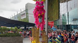 CNY 2023~ 大年初一 Acrobatic Lion Dance ( 高樁舞獅表演 Múa Lân) by Yi Meng 吉隆坡一鳴獅藝舘 @ IPC Mall  (22/1/2023)