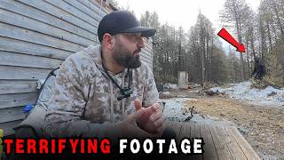 6 Real Bigfoot Sightings That Will Haunt You Forever