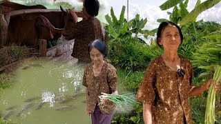 ยายวัย73 ทำเกษตรผสมผสาน มีความสุข มีความภาคภูมิใจ ได้กินได้ขาย สุขภาพแข็งแรมมาก#ยายแชม์ปทอง