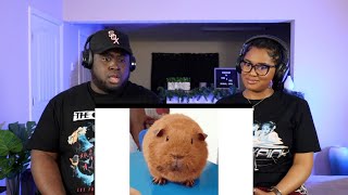 Kidd and Cee Reacts To PETS are the WORST (Degenerocity)