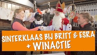 Sinterklaas bij Britt \u0026 Esra | PaardenpraatTV