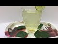 నిమ్మ ఆకులతో రుచికరమైన చట్నీ మరియు టీ lemon leaves chutney lemon leaf tea