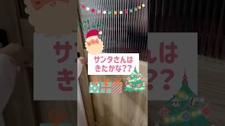 我が家のクリスマス🎄✨️ #プレゼント #極小ヨーキー #犬のいる暮らし