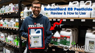 BotaniGard ES Pesticide Review and How to Use