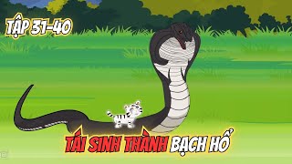 Tái Sinh Thành Bạch Hổ Tập 31-40