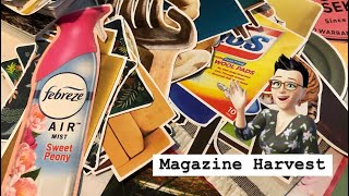 ✨Gluebook || Magazine Harvest #21