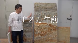 アングラ収蔵庫トーク#01「長居公園の地下の地層」