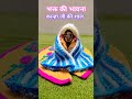 bhakt ki bhavna trending kanha krishna radhakrishna shorts short video seemadevotional shyam