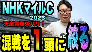 【NHKマイルカップ2023】《天皇賞春はお薦め馬２頭で1.2着独占！》絶好調メイクデビューやまだが、データで１頭に絞ります。