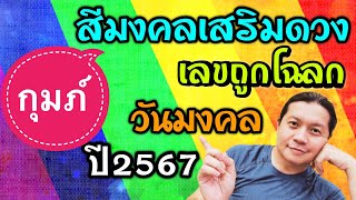 ราศีกุมภ์ : สีมงคลเสริมดวง เลขถูกโฉลก และวันที่เฮง | ประจำปี 2567 by ณัฐ นรรัตน์