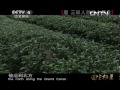 《国宝档案》 20130430 唐三彩人形注七星盘