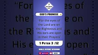 TODAY GOD'S PROMISE #7th November  #2022  #dailypromisesofgod #dailybread #daily