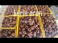 Resapi kuih keria keladek oren,mudah senang dan ringkas