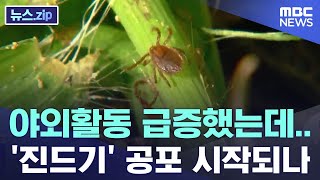 야외활동 급증했는데..'진드기' 공포 시작되나 [뉴스.zip/MBC뉴스]