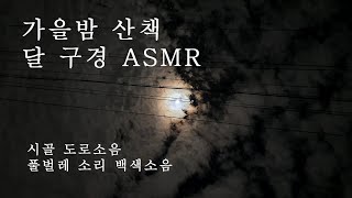 [밤산책] 가을 밤 달 구경 ASMR / 시골 도로가 / 풀벌레 소리 / 도로소음 / 백색소음 / 집중력 / 포근한 밤소리 / 잠 잘때 듣는 소리 / 수면유도 8시간