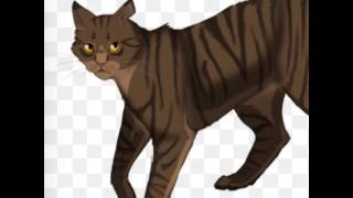 Tigerheart Rant