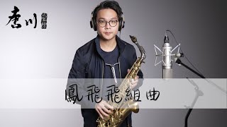 【Cover系列】鳳飛飛組曲(巧合、我不能沒信心、奔向彩虹) 鳳飛飛 薩克斯風 - Willy Saxophone