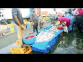 wholesale fish market tirupur.. fish market tirupur.. anuja s vlog